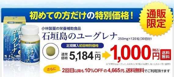 日記 石垣島のユーグレナ 最安値で購入 ミドリムシサプリ効果